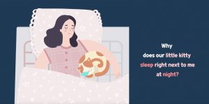 Things that happened due to bed warming mattress toppers ep2 - Navien Mate - Heated Mattress Pad | Thermal Blanket for Bed
