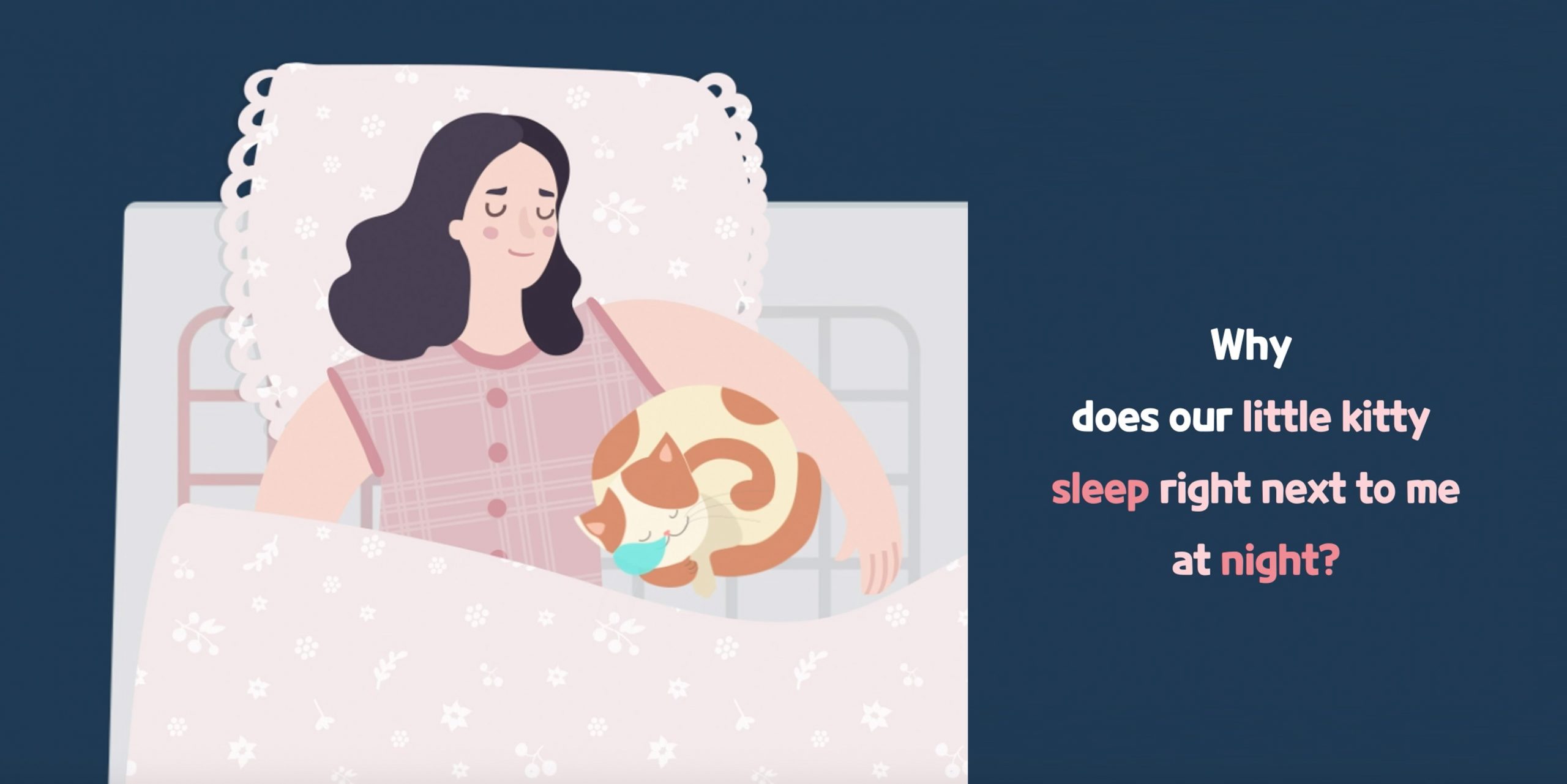 Things that happened due to bed warming mattress toppers ep2 - Navien Mate - Heated Mattress Pad | Thermal Blanket for Bed